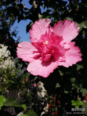 這樣的藍(lán)天下