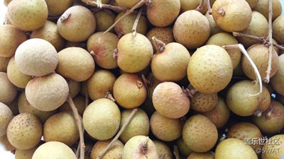 繼續(xù)吃龍眼