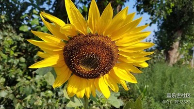 假期老家隨手拍攝若干