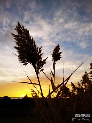 【我與晚霞有個約會】+克拉瑪依+大漠晚霞
