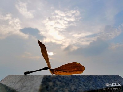 【我與晚霞有個約會】+東莞+奔跑的駿馬