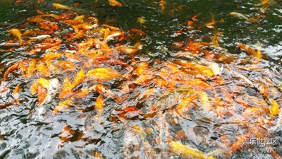 不能我一個人瞎，反光……