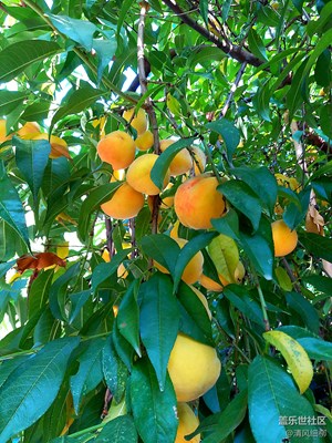 路遇隨拍━漂亮的C5同樣可以讓生活漂亮