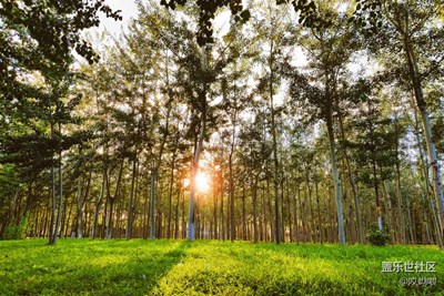 帶著Note7“呼吸”大自然