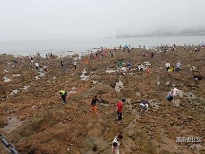 。。。。。。。