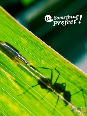 {S7}淺秋安好！