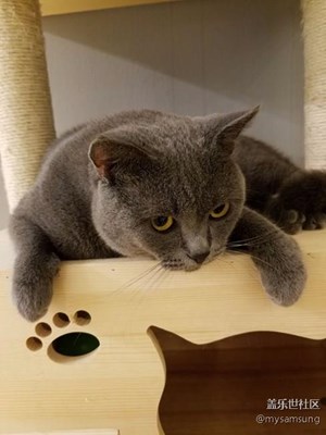 【精品集】我的一些攝影精品集