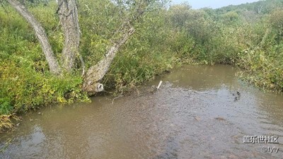 小河里釣小魚(yú)