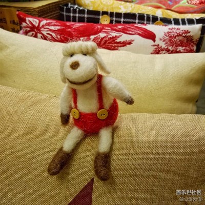 帶上S7去南京先鋒書店邂逅那些可愛的貓咪