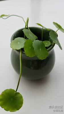 我個人覺得好漂亮??