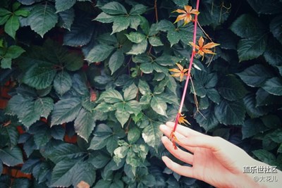 小時(shí)光～～