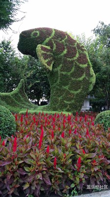 手機(jī)不拍照，街景都害臊。