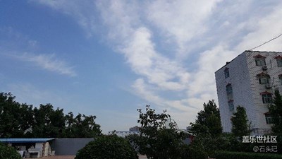 天天