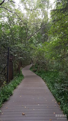 走在鄉(xiāng)間的小路上