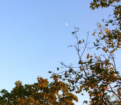 月圓人團(tuán)圓+綿陽市+半月望中秋