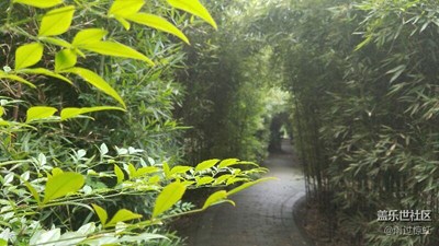 曲徑通幽處