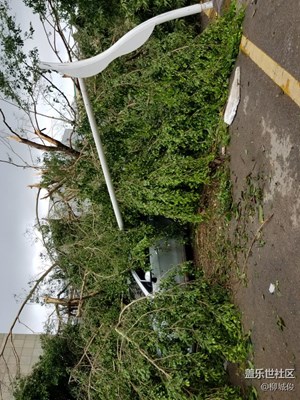 臺風過后的廈門