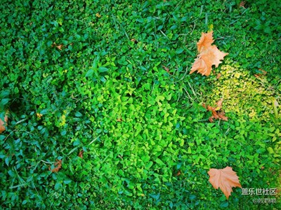 “走過路過，不要錯過”