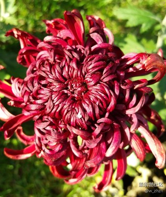 意外驚喜！發(fā)現(xiàn)在另外一塊卡里有。