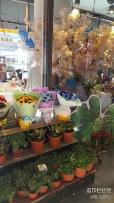 花店