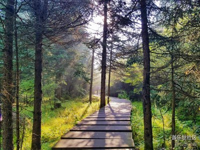 {S7}追尋密林深處那束光