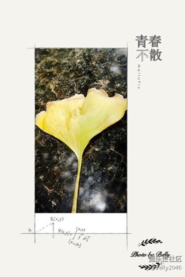青春不散，不散青春