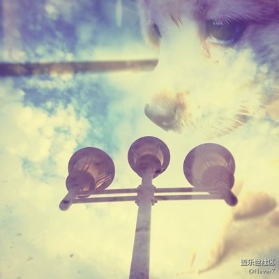 小片、小片……