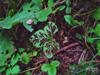 【秋色正濃】，忻州，秋的種種心情