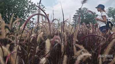 【秋色正濃】+昆明+朦朧秋