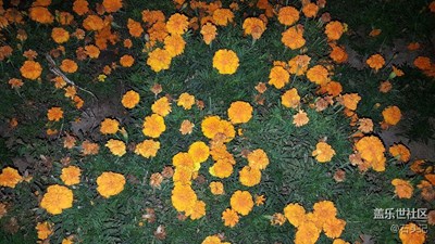 花