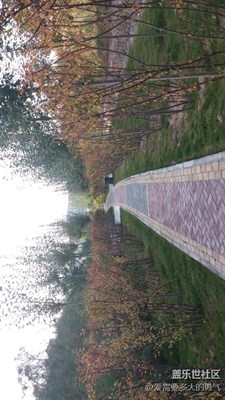 【秋色正濃】+海東+河邊小道