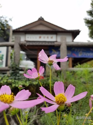 帶著S7 edge游日本【3】遇見的美好