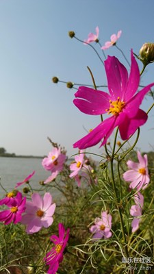 鏡頭總能發(fā)現(xiàn)美！