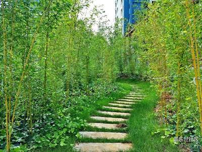 竹道（S4拍攝）