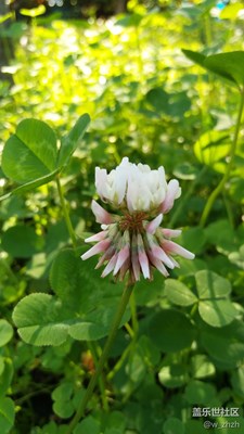 它們最愛秋天的陽光。