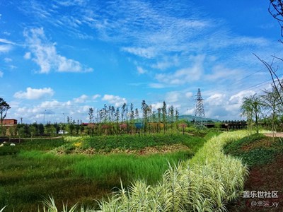 城市之美（s4拍攝）