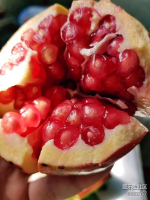 【帶著手機(jī)去撒歡兒】國慶Happy Day