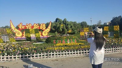 【帶著手機(jī)去撒歡兒】大美新疆