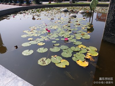 【別樣國慶】+漢中+我眼中的變化