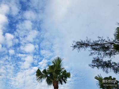 帶著手機(jī)去撒歡兒+我在廈門，廈門的天好藍(lán)