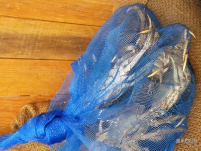 【別樣國慶】+遼寧+大螃蟹