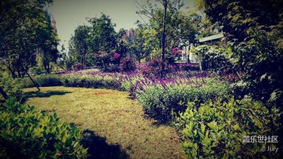 【別樣國(guó)慶】昆明+春城之春意盎然