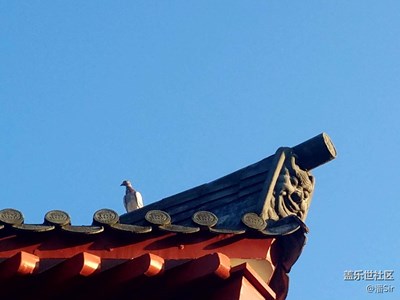 【別樣國慶】+福鼎+資國寺