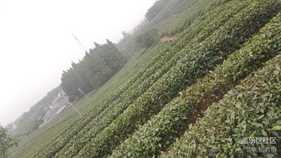 【帶著手機(jī)去撒歡兒】我來(lái)到你的城市