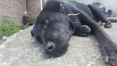 國慶+衡陽+我家的貝貝