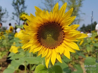 植物園小溜達(dá)