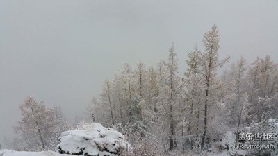 【帶著手機(jī)去撒歡兒】霧鎖喀納斯