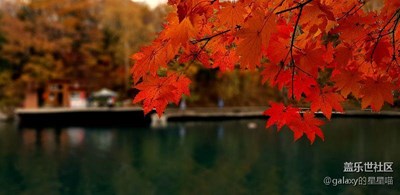 【帶著手機(jī)去撒歡兒】長(zhǎng)白大龍灣