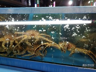 【帶著手機(jī)去撒歡兒】奔向韓國