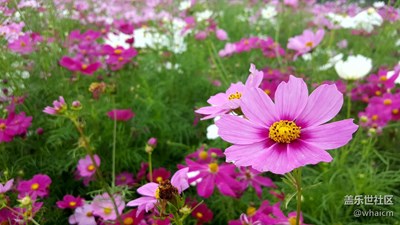 【別樣國慶】+廣州+返璞歸真享受大自然